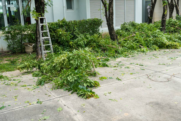 Organic Lawn Care Solutions in Upper Brookville, NY